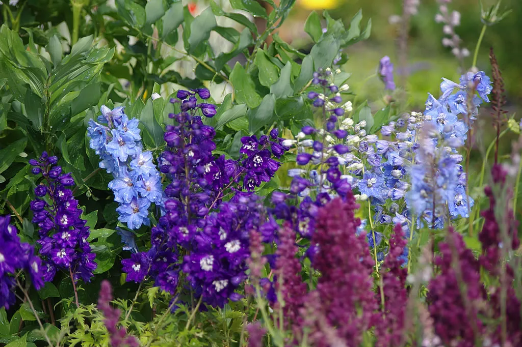 Die Staudenpalette – Blütenfülle und Vitalität unserer winterharten Gartenstauden